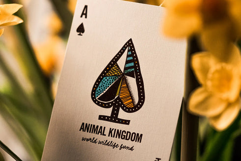 Theory 11 - Animal Kingdom Playing Cards