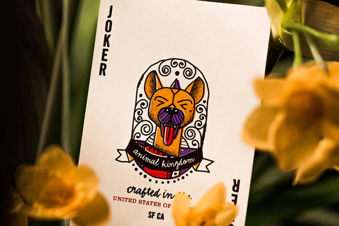 Theory 11 - Animal Kingdom Playing Cards