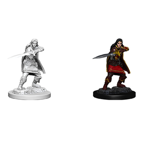 D&D Nolzurs Marvelous Unpainted Miniatures Female Aasimar Fighter