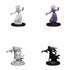 D&D Nolzurs Marvelous Unpainted Miniatures Wraith & Specter