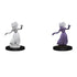 D&D Nolzurs Marvelous Unpainted Miniatures Wraith & Specter