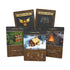Heroes of Might and Magic III The Board Game Battlefield Expansion