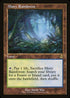 ETCHED FOIL Misty Rainforest (MH2-438) - Modern Horizons 2 - Magic The Gathering