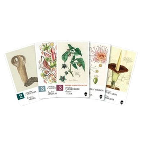 Botany Perilous Perfumes Expansion