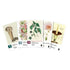 Botany Perilous Perfumes Expansion