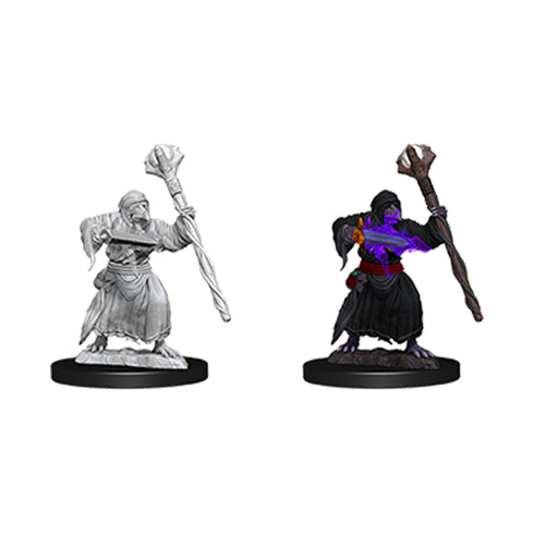 D&D Nolzurs Marvelous Unpainted Miniatures Kenku Adventures