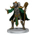 D&D Icons of the Realms Undead Armies - Skeletons