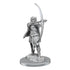 Wizkids Deep Cuts Human Rogue