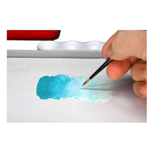 Redgrass Everlasting Wet Palette Painter V2
