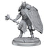 D&D Nolzurs Marvelous Miniatures Dragonborn Clerics