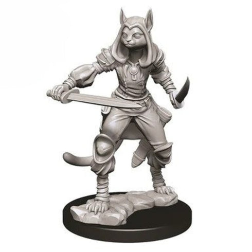 D&D Nolzurs Marvelous Unpainted Miniatures Female Tabaxi Rogue