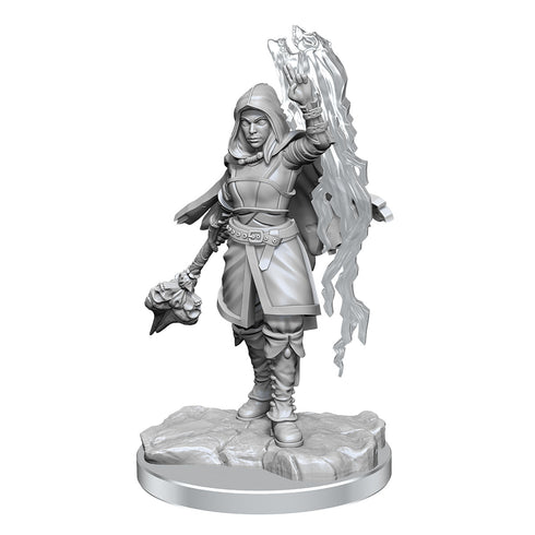 D&D Nolzurs Marvelous Miniatures Half-Elf Warlock