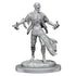 D&D Nolzurs Marvelous Miniatures Nosferatu