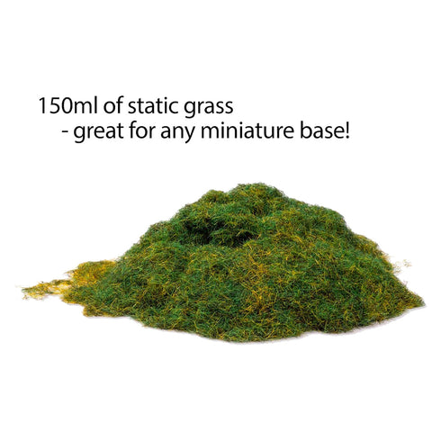 Army Painter Basing - Field Grass Static