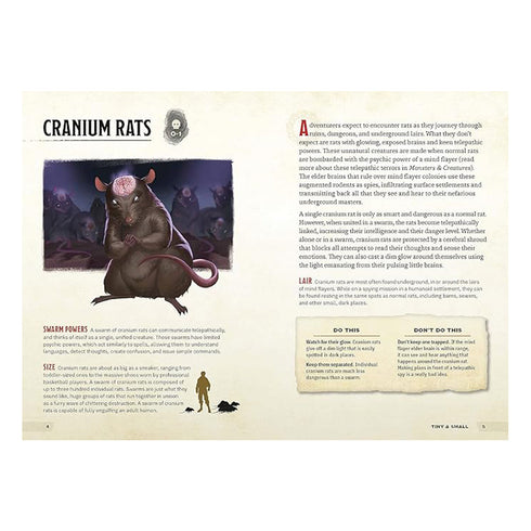 D&D Dungeons & Dragons Beasts & Behemoths A Young Adventurers Guide