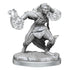 D&D Nolzurs Marvelous Miniatures Half-Elf Warlock