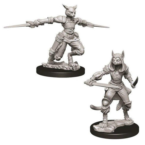 D&D Nolzurs Marvelous Unpainted Miniatures Female Tabaxi Rogue