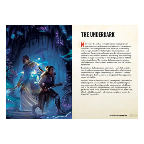D&D Dungeons & Dragons: Places & Portals A Young Adventurer's Guide
