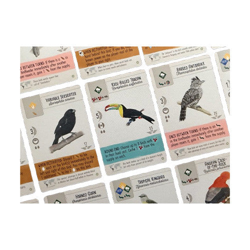 Wingspan Americas Expansion