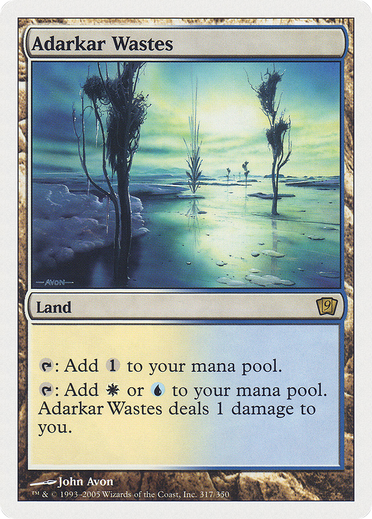 Adarkar Wastes (9ED-317) - Ninth Edition - Magic The Gathering