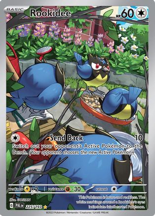 Rookidee - 225/193 (225) [SV02] Pokemon SV02: Paldea Evolved