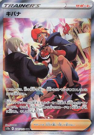 JAPANESE Raihan - 237/172 (237/172) - S12a VSTAR Universe Holofoil