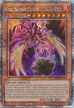 QUARTER CENTURY SECRET RARE Phoenixian Cluster Amaryllis (Quarter Century Secret Rare) (RA04-EN136) - Quarter Century Stampede 1st Edition