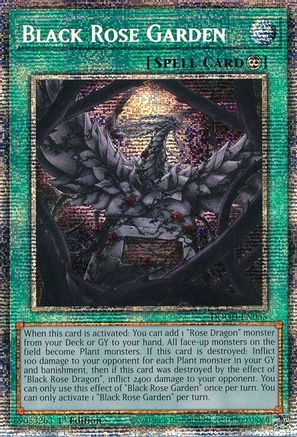 STARLIGHT RARE Black Rose Garden (Starlight Rare) (DOOD-EN055) - Doom of Dimensions 1st Edition