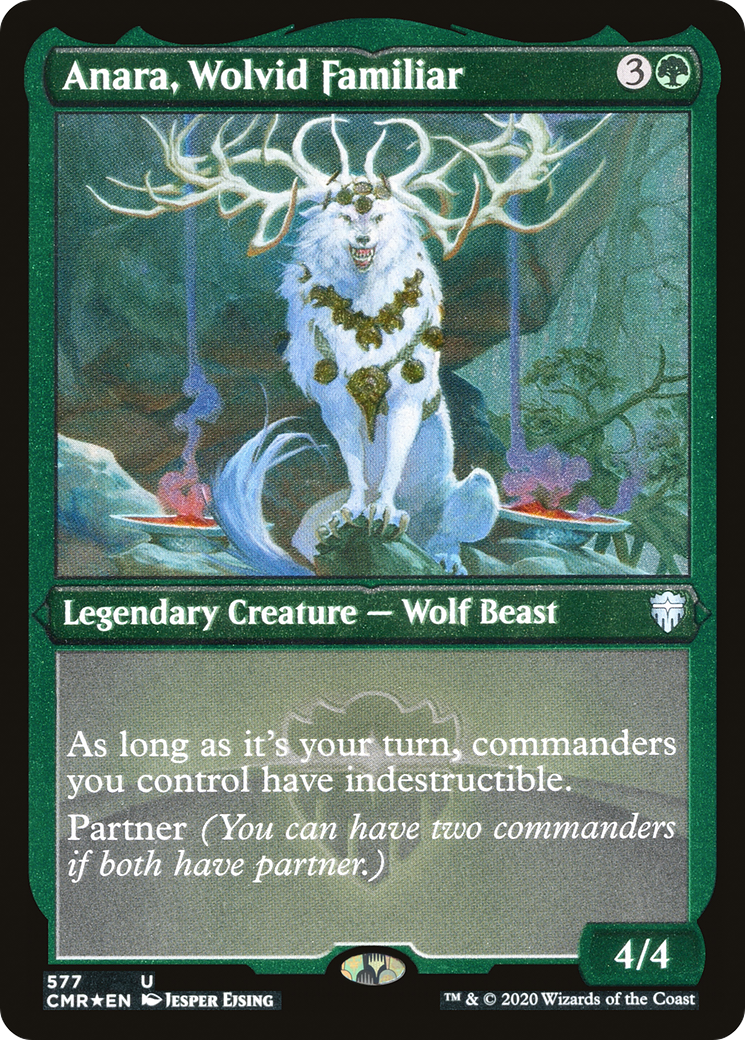 FOIL Anara, Wolvid Familiar (Foil Etched) (CMR-577) - Commander Legends - Magic The Gathering