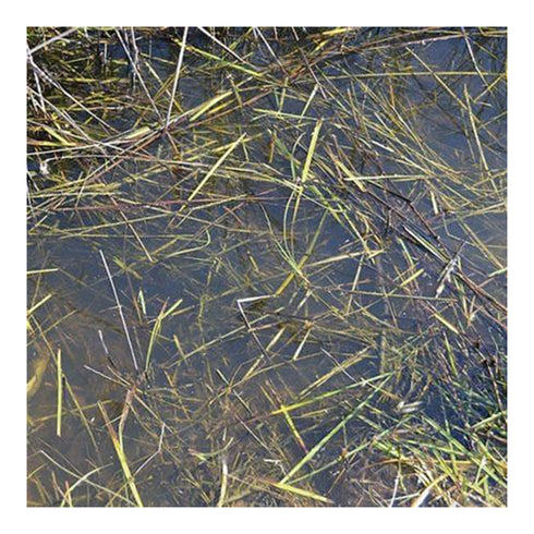 AK Interactive Dioramas - Still Water 250ml