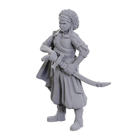 D&D Nolzur's Marvelous Miniatures: Ansalon Human Rogue
