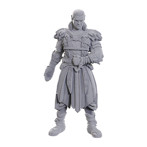 D&D Nolzur's Marvelous Miniatures: Special Edition - Baldur's Gate 3: Jaheira & Halsin