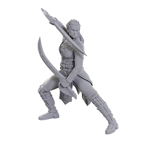 D&D Nolzur's Marvelous Miniatures: Special Edition - Baldur's Gate 3: Jaheira & Halsin