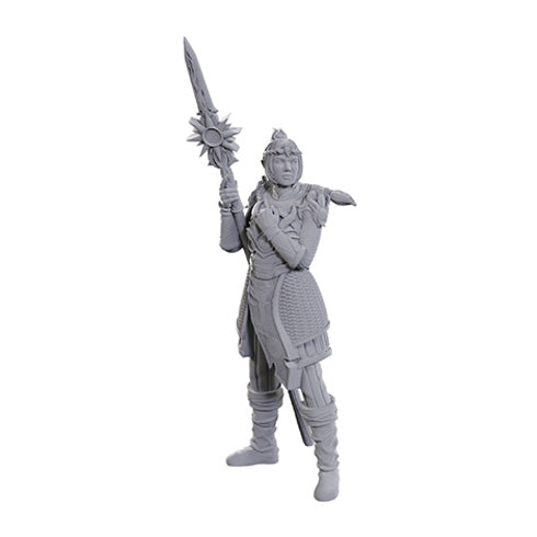 D&D Nolzur's Marvelous Miniatures: Special Edition - Baldur's Gate 3: Lae'zel & Shadowheart