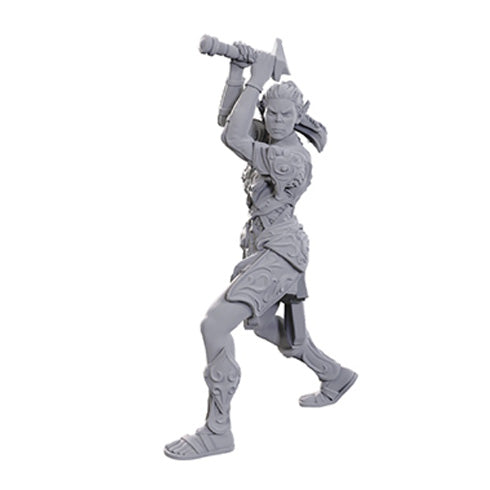 D&D Nolzur's Marvelous Miniatures: Special Edition - Baldur's Gate 3: Lae'zel & Shadowheart