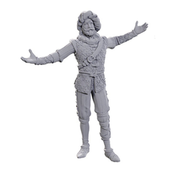 D&D Nolzur's Marvelous Miniatures: Special Edition - Baldur's Gate 3: Volo & Withers