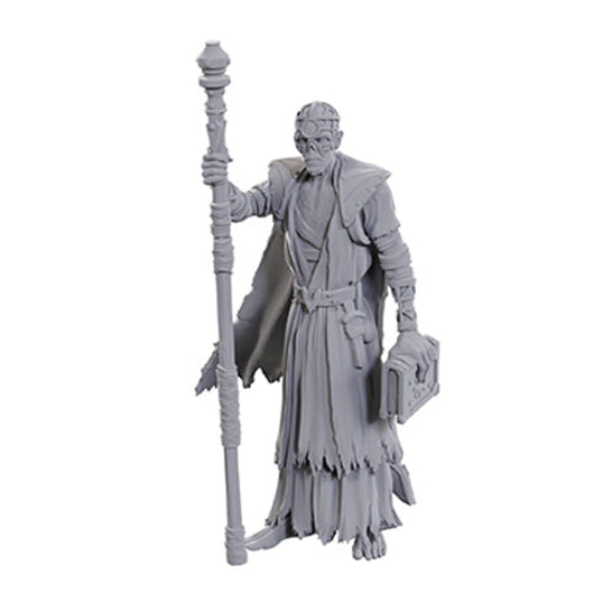 D&D Nolzur's Marvelous Miniatures: Special Edition - Baldur's Gate 3: Volo & Withers