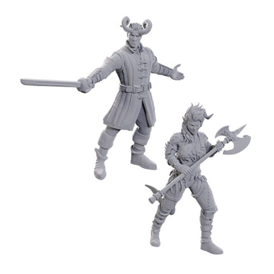 D&D Nolzur's Marvelous Miniatures: Special Edition - Baldur's Gate 3: Wyll & Karlach