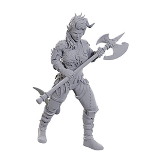 D&D Nolzur's Marvelous Miniatures: Special Edition - Baldur's Gate 3: Wyll & Karlach