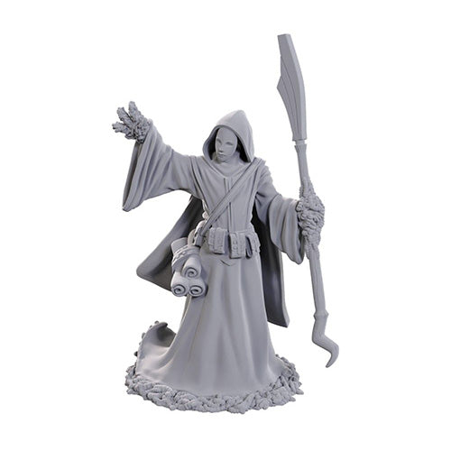 D&D Nolzur's Marvelous Miniatures: Star Spawn Larva Mage