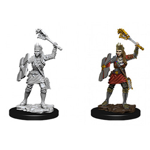 D&D Nolzurs Marvelous Unpainted Miniatures Female Human Cleric