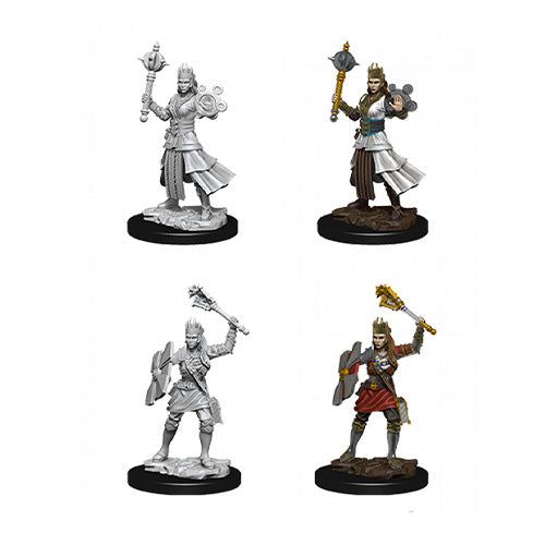 D&D Nolzurs Marvelous Unpainted Miniatures Female Human Cleric