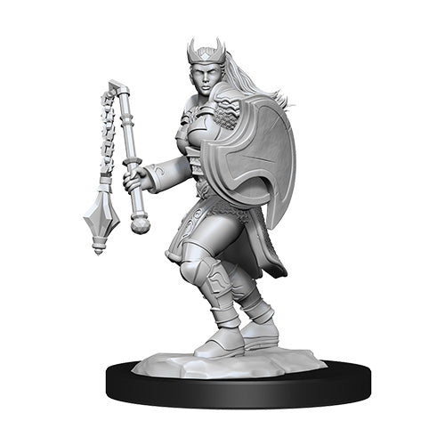 D&D Nolzurs Marvelous Unpainted Miniatures Kalashtar Cleric Female