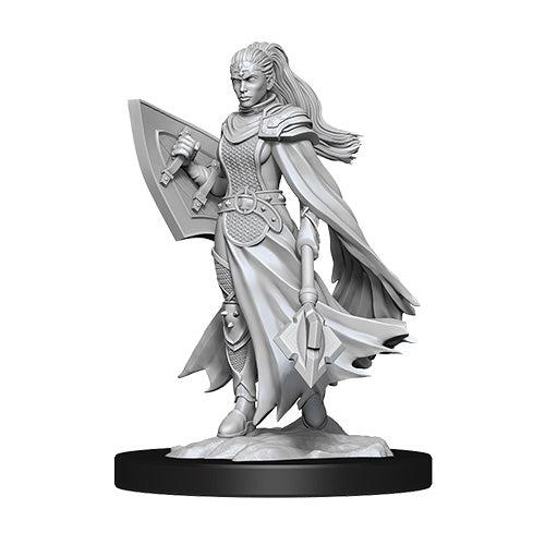 D&D Nolzurs Marvelous Unpainted Miniatures Kalashtar Cleric Female