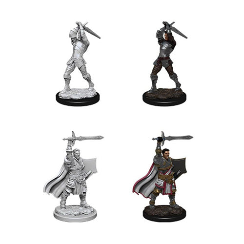D&D Nolzurs Marvelous Unpainted Miniatures Male Human Paladin