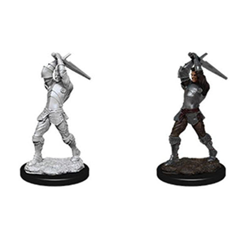 D&D Nolzurs Marvelous Unpainted Miniatures Male Human Paladin