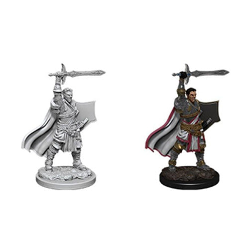 D&D Nolzurs Marvelous Unpainted Miniatures Male Human Paladin
