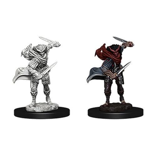 D&D Nolzurs Marvelous Unpainted Miniatures Tiefling Female Rogue
