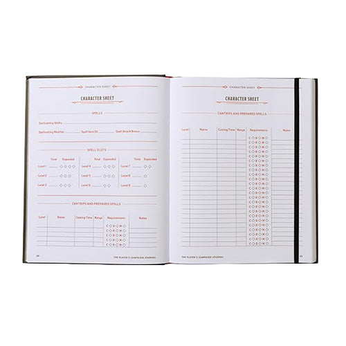 D&D The Player's Campaign Journal