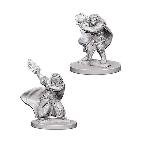 Dungeons & Dragons D&D Nolzur's Marvelous Unpainted Minis Dwarf Male Paladin